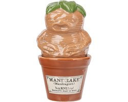 Mandrake en Bloempot Zout en Peper Set – Keramisch Servies – Harry Potter – Paladone