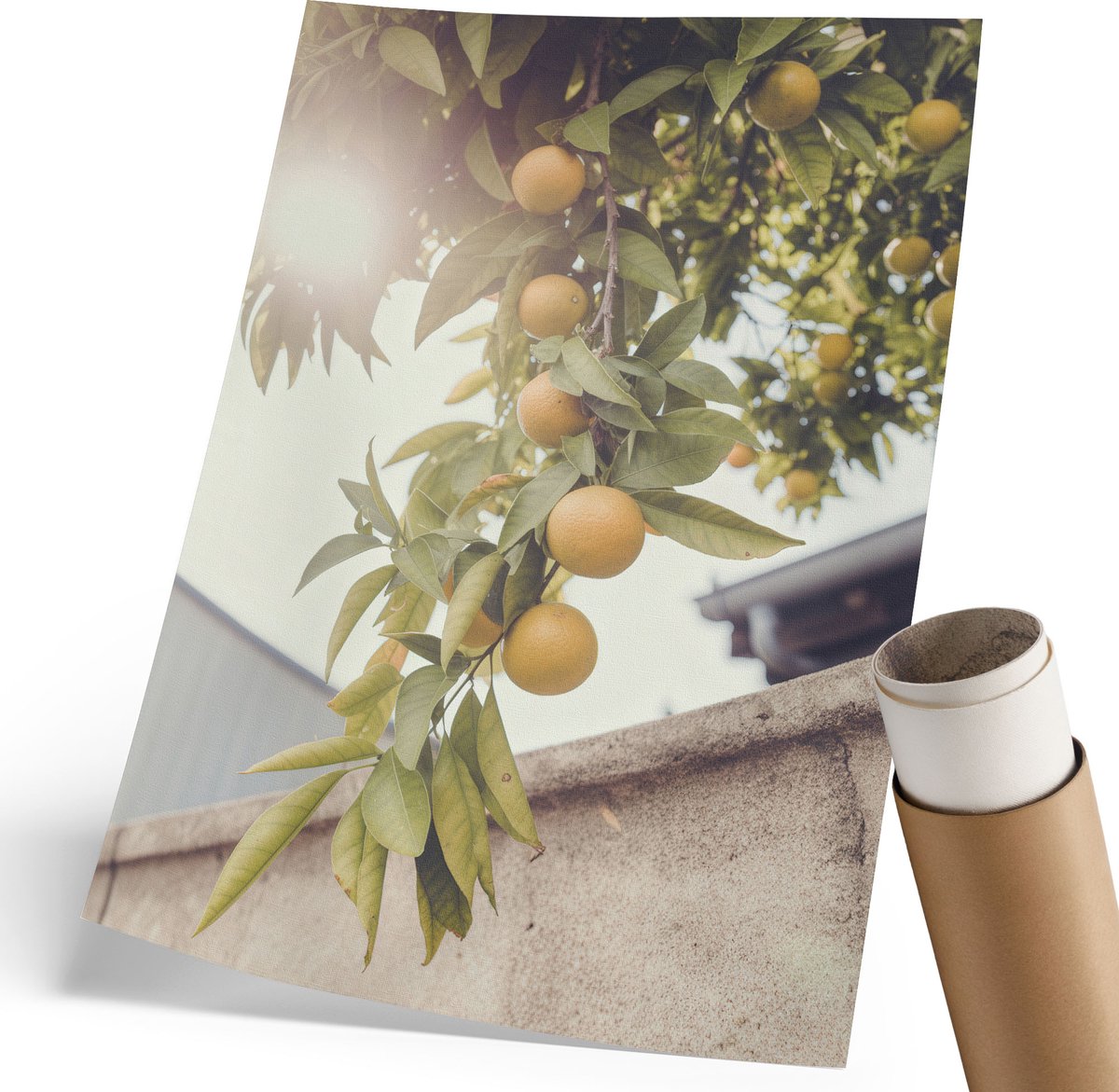 Coloray Polycanvas Wandposter - Zomerfruit, Fotografie - 210 x 297 mm - Groen Design - Rechthoek - Muurkunst - Woonkamer, Slaapkamer, Kantoor - Rustiek