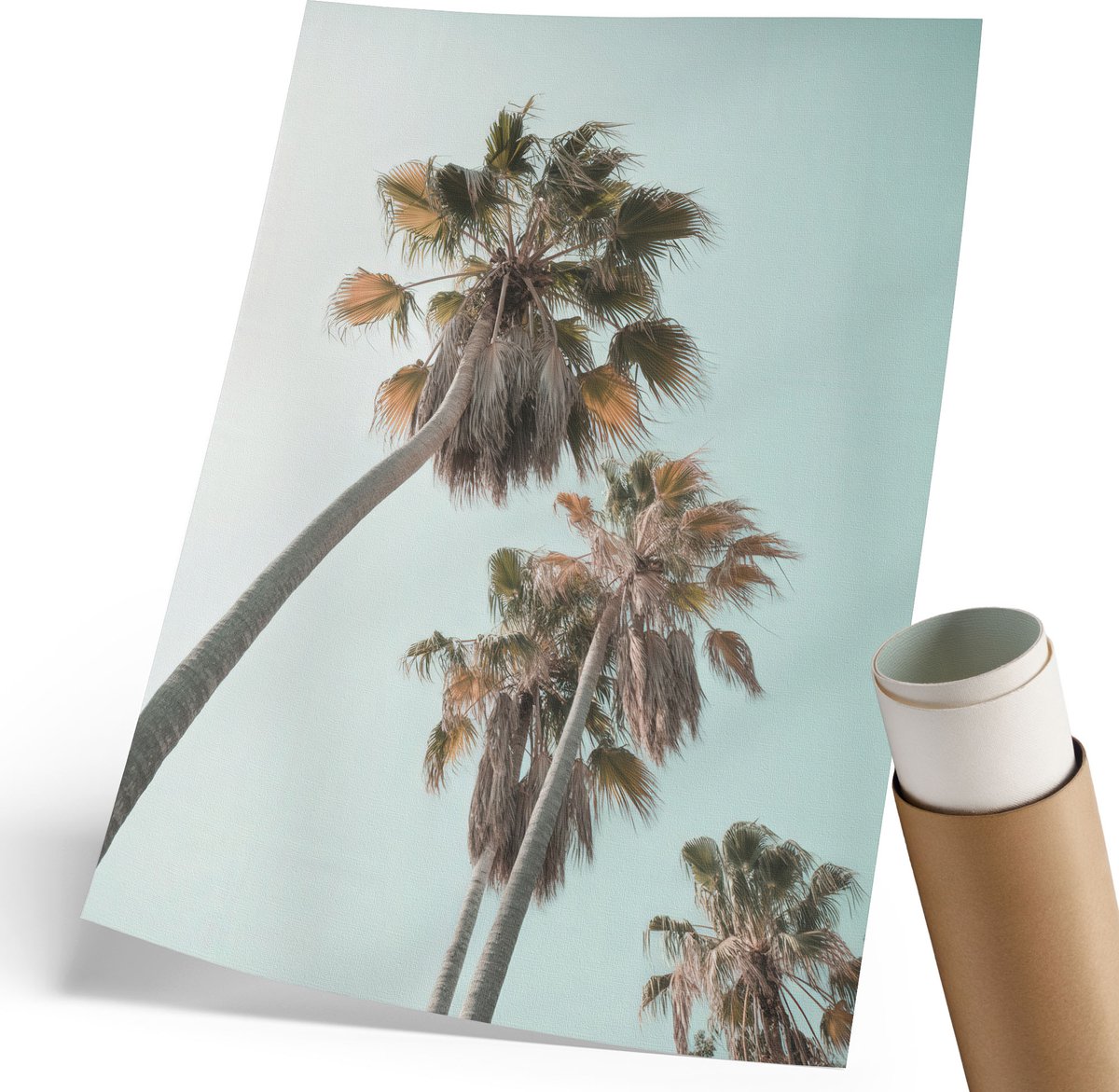 Coloray Polycanvas Poster - Noorderlicht, Groente - 420 x 594 mm - Grijs Wandposter - Rechthoek - Decoratieve poster - Woonkamer - Klassiek