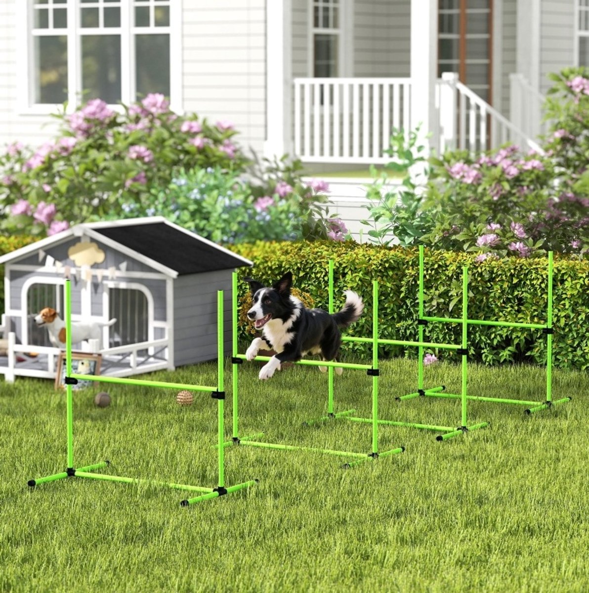 MODFU - Honden Agility Set - Hoogteverstelbaar - 4 Horden - Groen