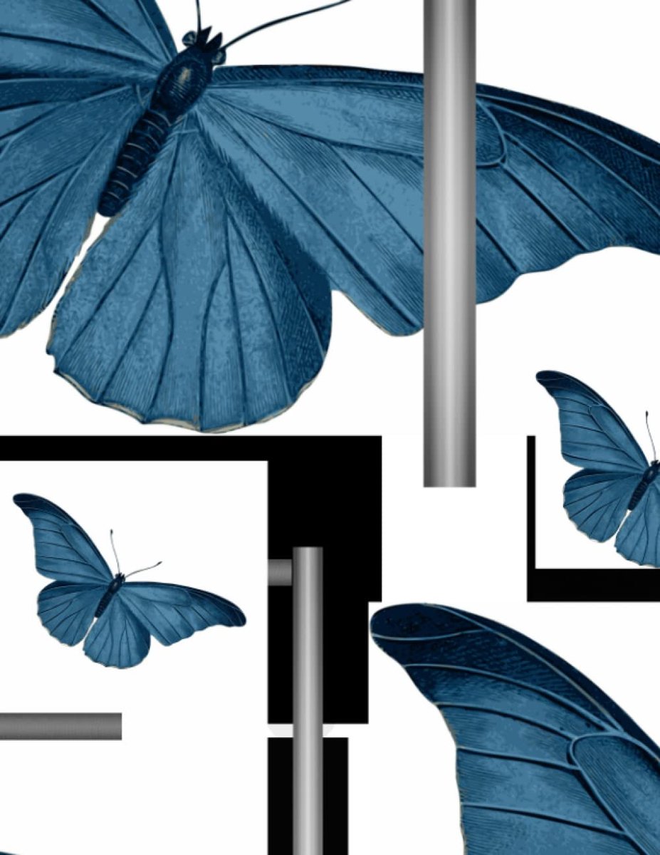 Slate Blue Butterflies Journal 8.5 x 11 120 pages: Slate Blue, Silver, Black, Journal, Notebook, Diary, Wilson Media - ShopVlot