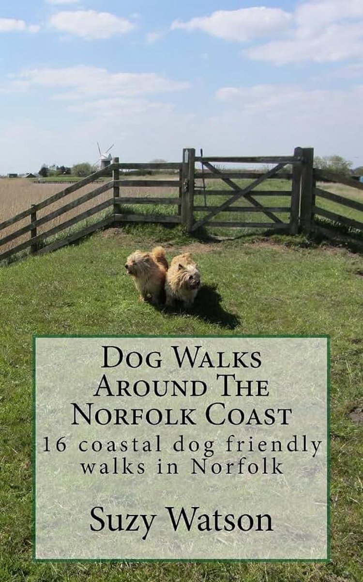 Norfolk Coast: 16 coastal dog walks where a dog lead is hardly needed!