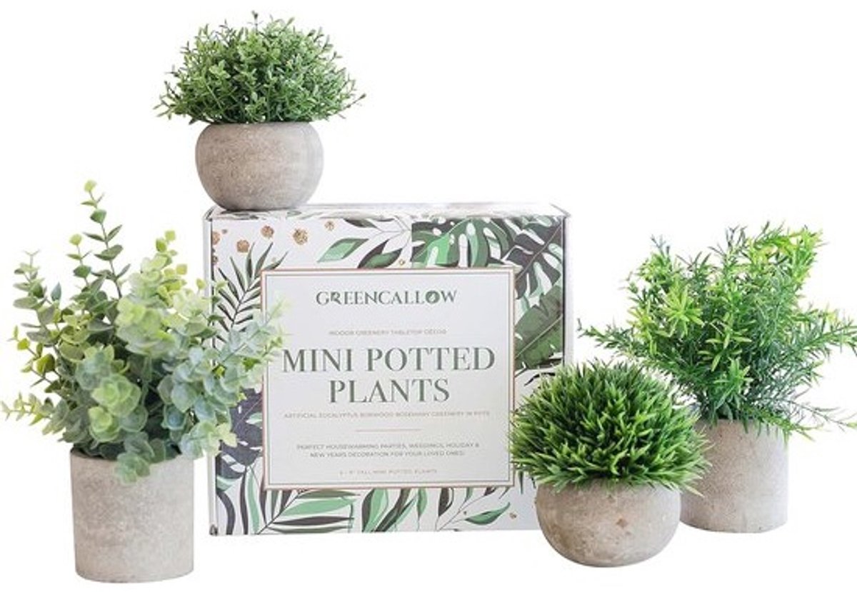 Kunstplanten voor Binnen - Set van 4 Mini Planten voor Huisdecoratie