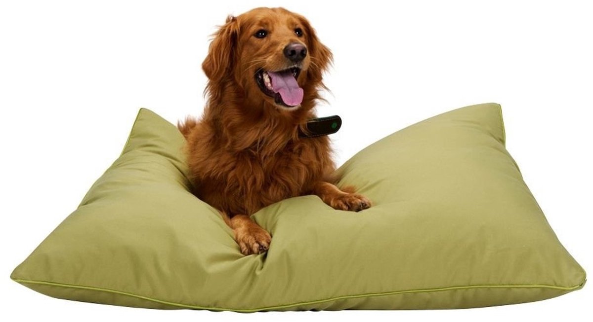 maxxpro Hondenmand - Hondenkussen 70 x 100 cm - Hondenbed - Kussen Hond met Rits - Polyester en Microvezel - Groen