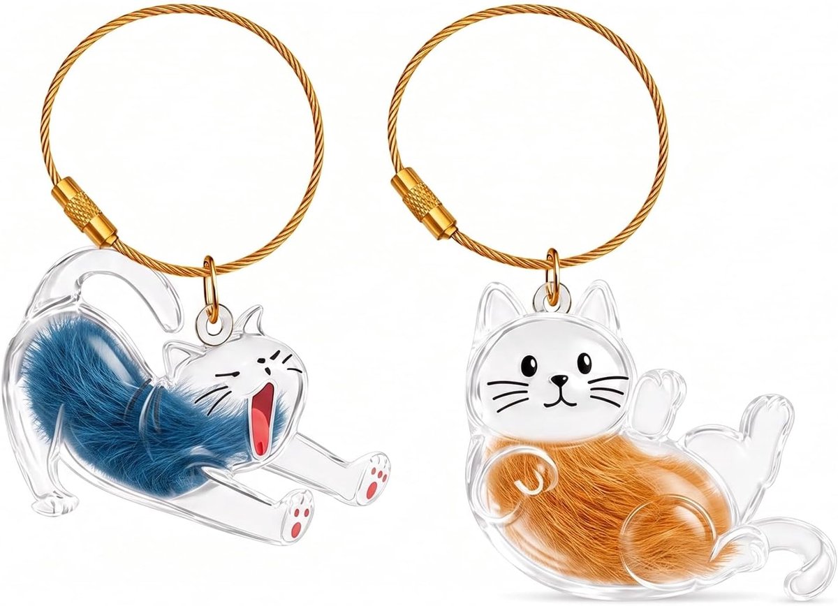 2 stuks kattenhaar sleutelhangerset, doe-het-zelf kattenhangers voor het opbergen van dierenhaar, transparante kattenhanger als herinnering voor dierenliefhebbers, design: uitrekken en liggende