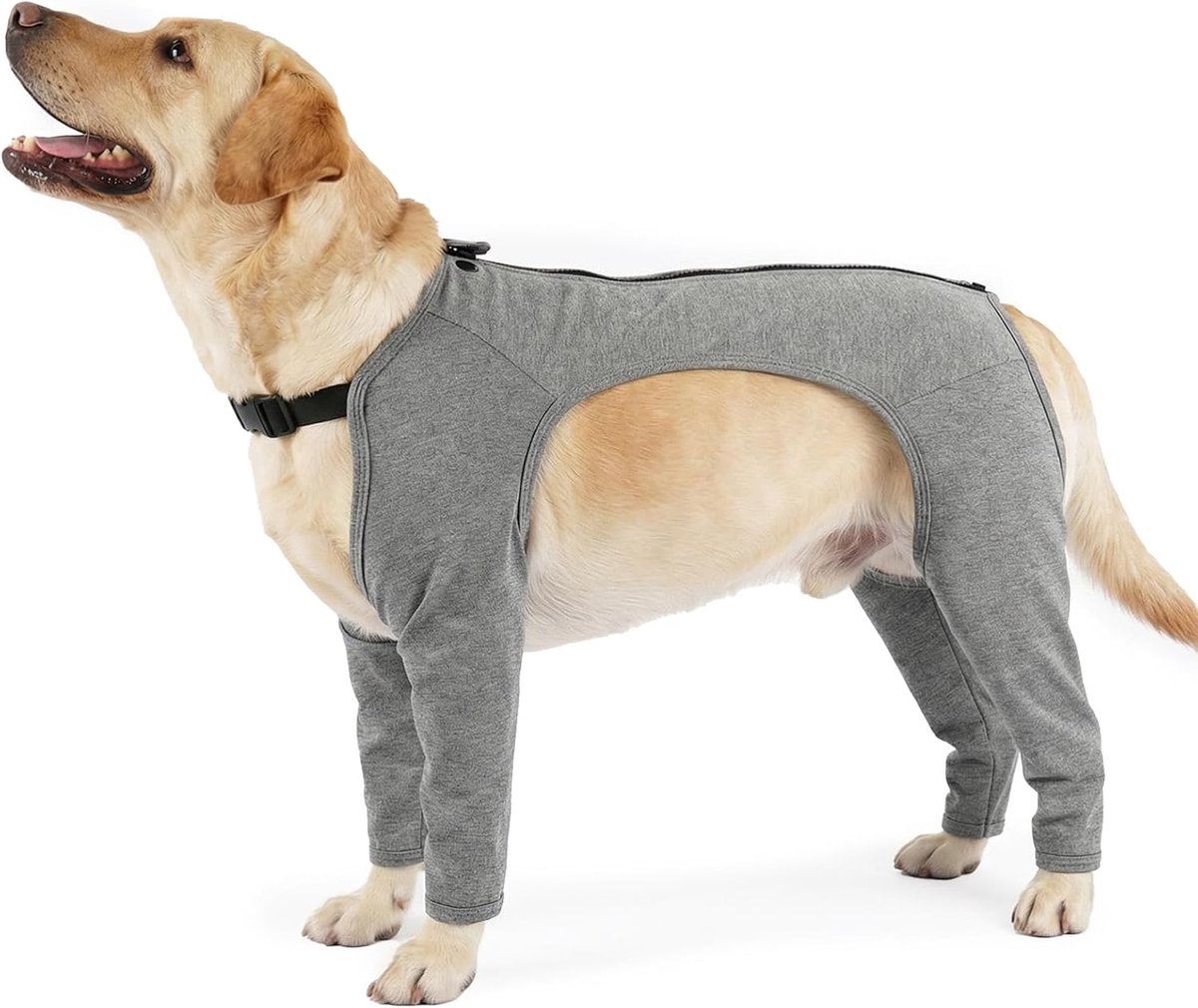 Operatie body met poten, hondenbody na knie, hond, beenbescherming, achterbeen, elleboogbandage, voorbeen, mouwen, herstelmouw, voorkomt likken van wonden na een knieoperatie (grijs, XL)