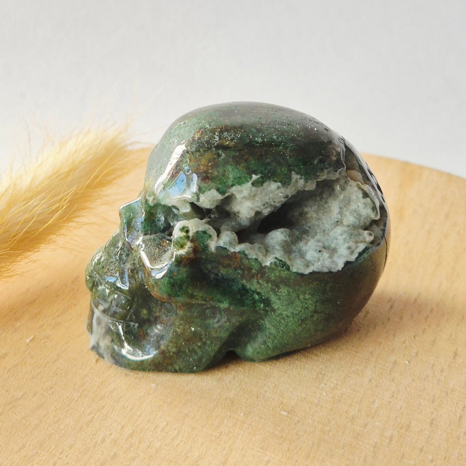 Moonlight Gemstones Mosagaat Skull Carving #8 | 5–6 cm Geslepen Edelsteen Meerkleurig