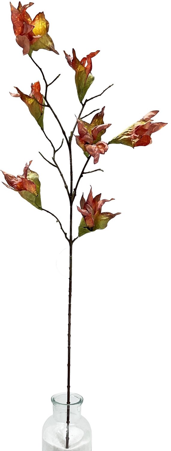 homebound by ky Kunsttak gedroogde Magnolia 89cm oranje