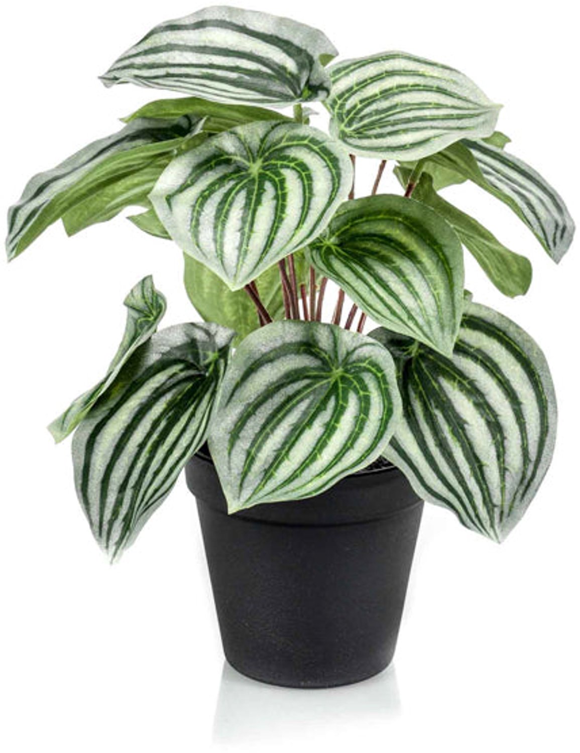 Emerald Kunstplant in pot Peperomia groen/grijs 25cm - Kunstplant voor binnen Groen, Grijs