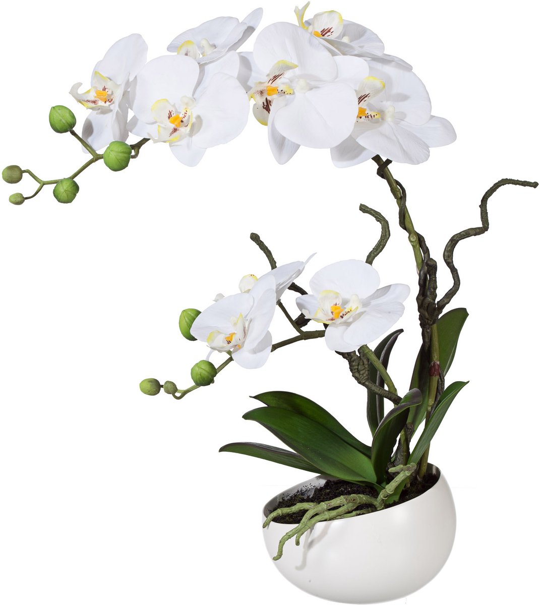 Gasper Kunst-Vlinderorchidee Wit in witte schaal 48 cm