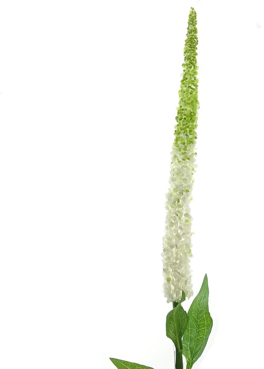 DPI ereprijs Veronica roomwit 112 cm - kunstbloem