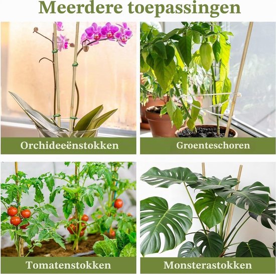 20 Stuks Bamboe Plantsteunen met Verweven Touwen voor Klimplanten, Tomaten en Tuinondersteuning (45 cm) — afbeelding 3