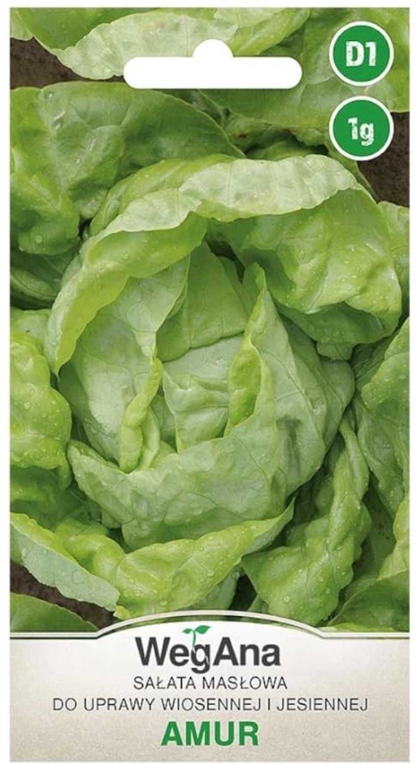 Butter Lettuce Armur Zaden - Groene Slazaadjes