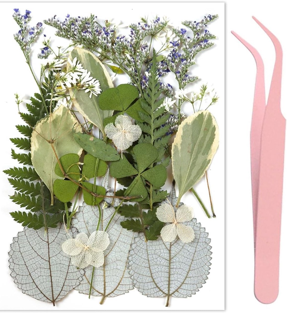 21 stuks gemengde drooggeperste bladplanten, natuurlijke bladbloesems voor DIY decoratie en kunsthandwerk, inclusief pincet