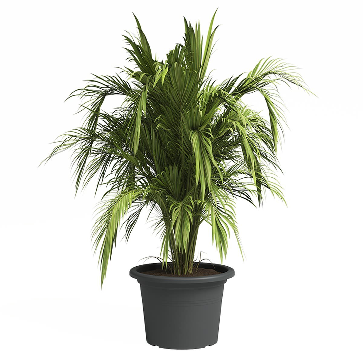 artevasi Venezia Cilindro plantenbak antraciet Ø 45 cm - kunststof