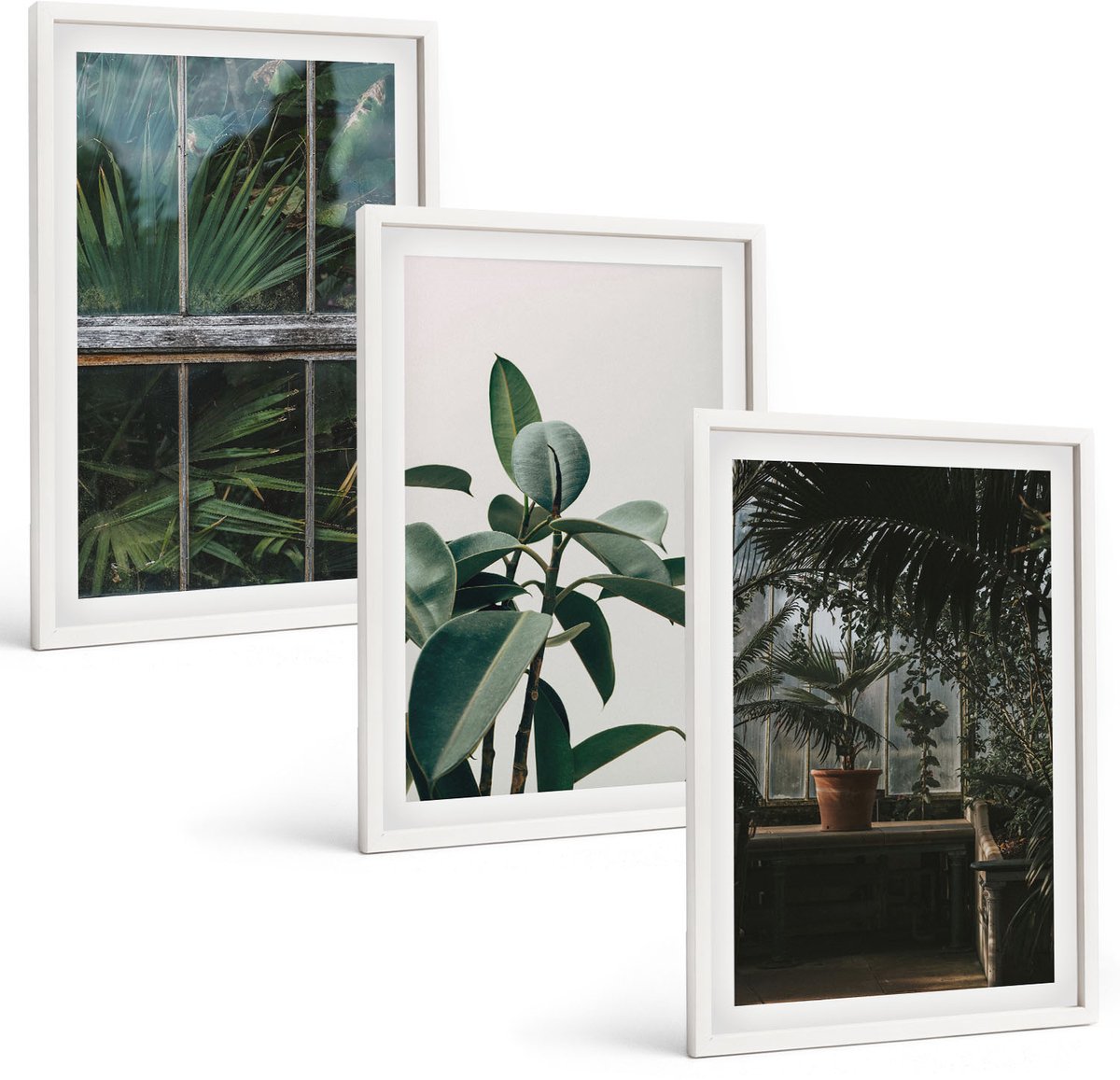 Coloray 3-Delige Schilderij Set - Groene Bladeren Op Het Raam En Planten In Het Interieur. - 40 x 60 - Moderne Wanddecoratie - Woonkamer