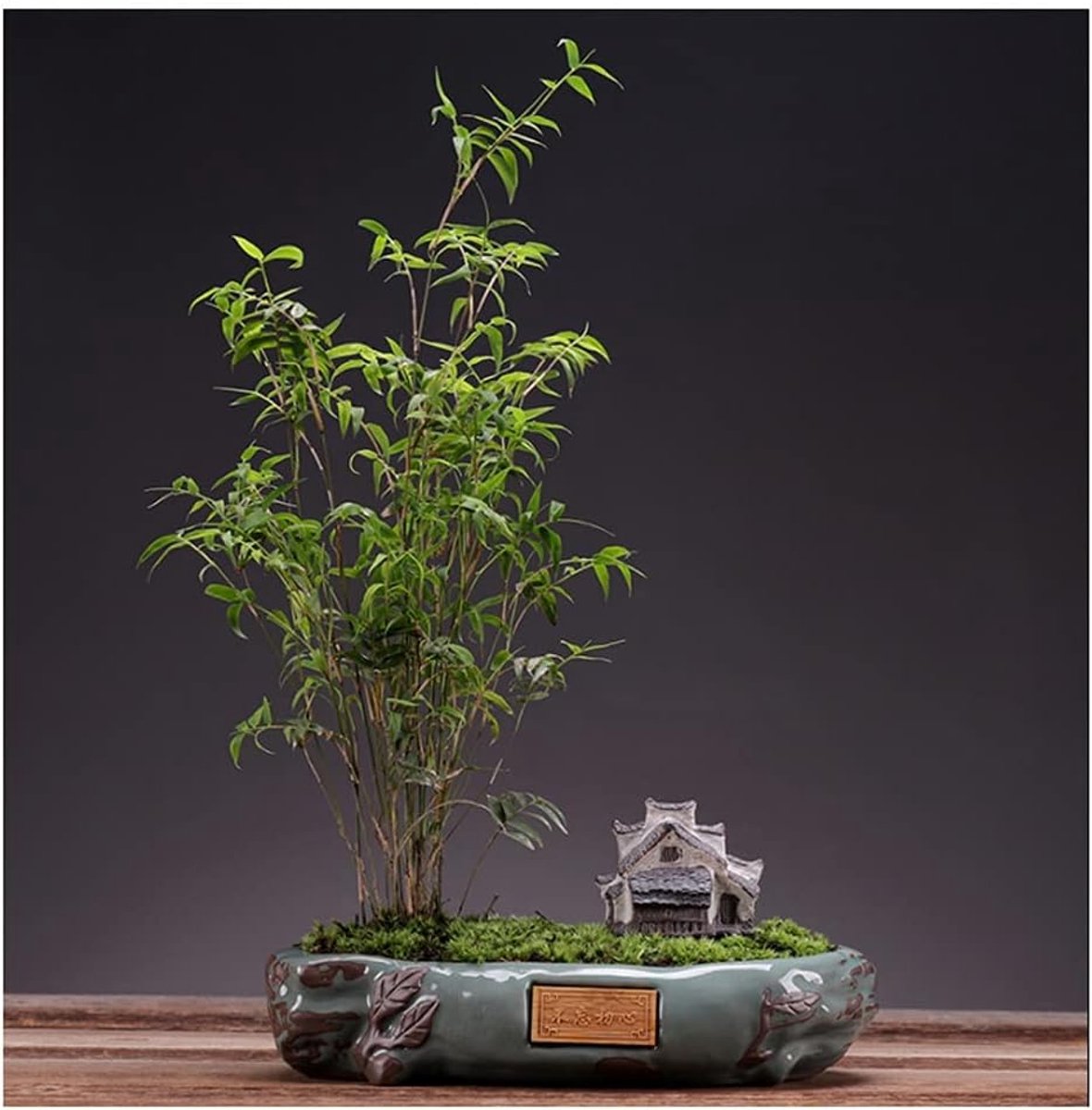 Kunstmatige Bonsai Tree Simulatie Tree Rode Sandelhout Banyan Tree Asperges Groene Planten Geschikt for Bureau Woonkamer Decoratie Kunstplant (Color : (Ancient House) Rice Bamboo)