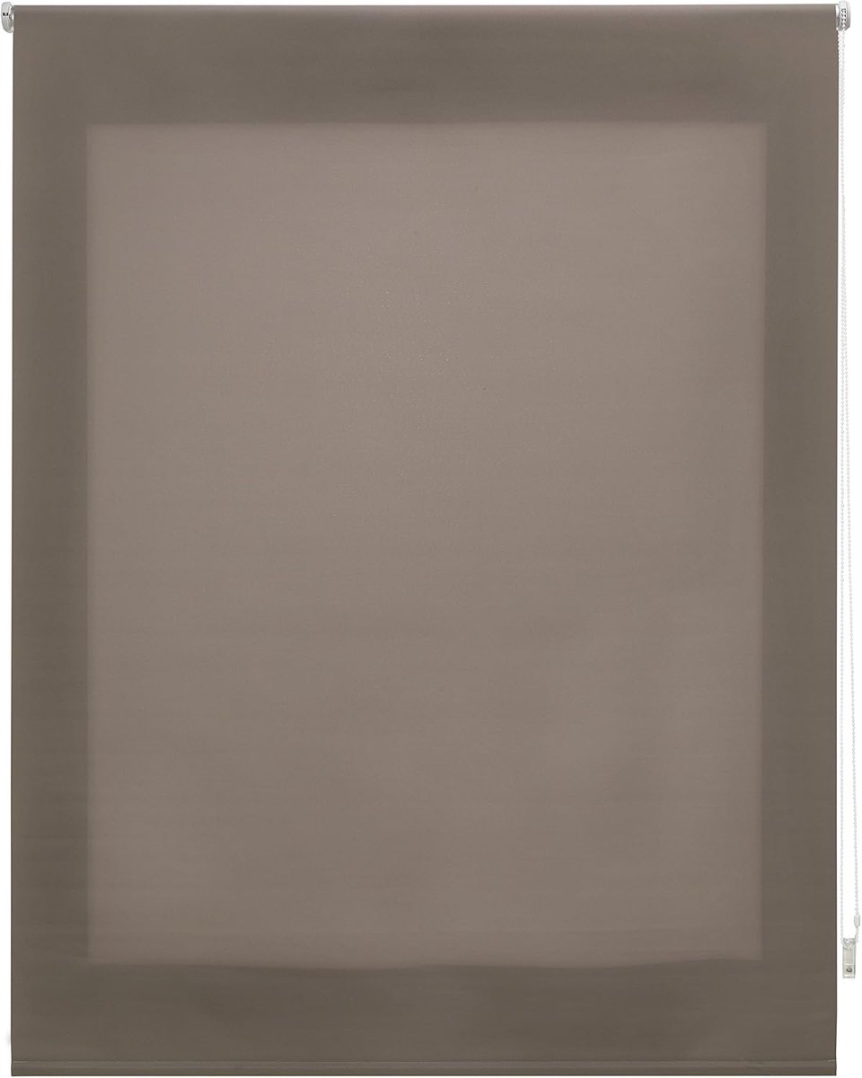 Smooth Roll-Up Blind - Doorschijnend, 100 x 250 cm Bruin