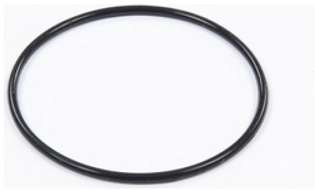 Bestway Strainer O-ring voor 530gal Zandfilter
