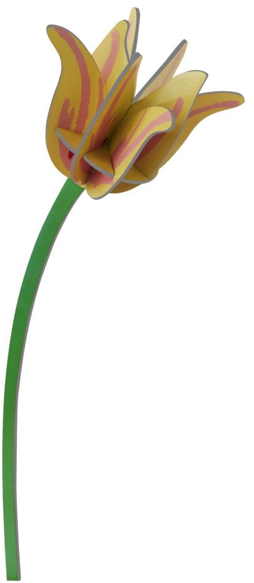 Bloem - Gele Tulp