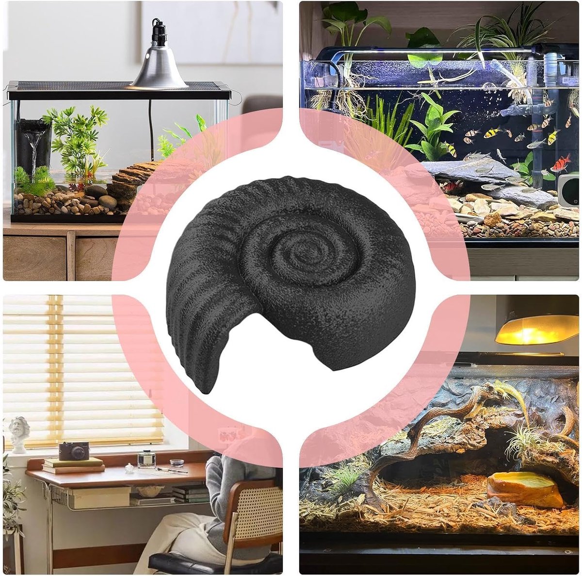 Slangenhol Uit Habitat Schuilplaats In De Vorm Van Een Ammoniet Decoratief