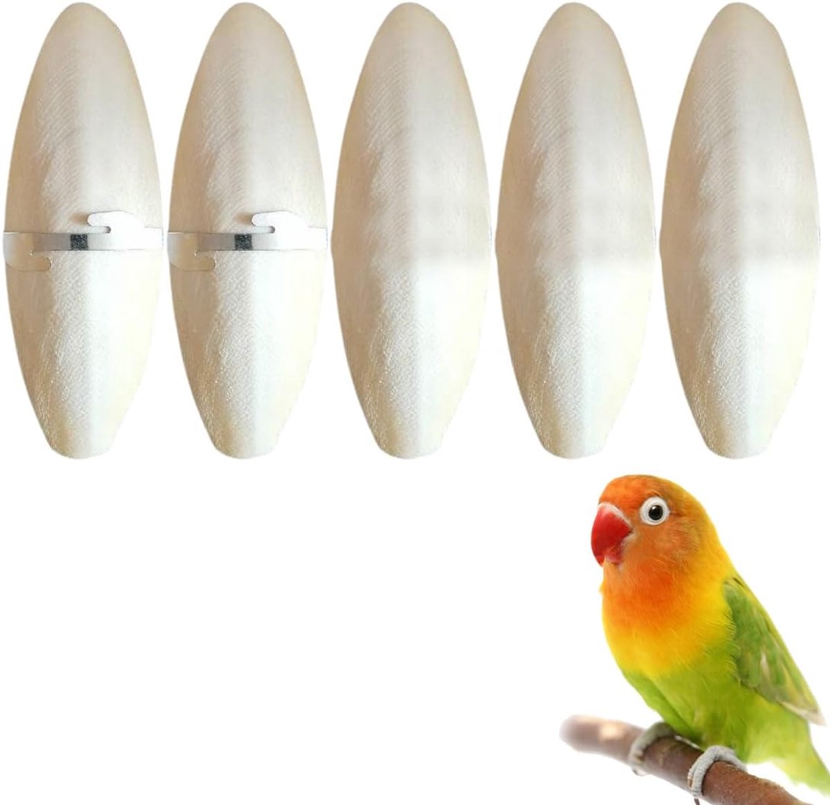 Speelgoed, vijf sepiaschalen, een kauwspeelgoed voor papegaaien, geschikt voor vogels, schildpadden en slakken. Inclusief twee metalen standaarden. 11 cm lang.