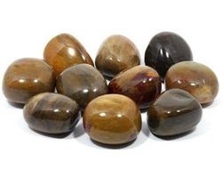Fossiel hout steen - Gepolijste tumblestone - Tuindecoratie - Glad afgewerkt - 20-25mm