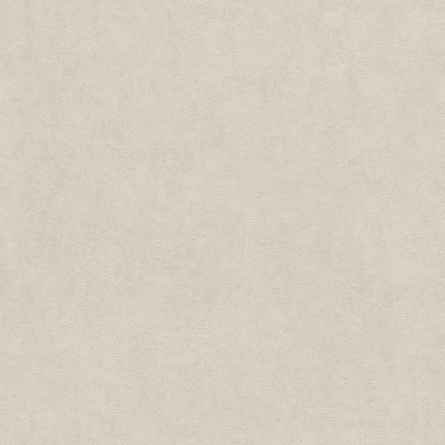 Rasch Behang 285109 - Beige Structuur Behang 10,05m x 0,53m