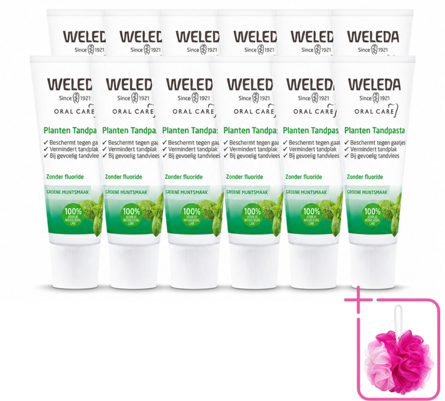 12 x WELEDA - Planten tandpasta - 75 ml - Bulkverpakking - Natuurlijke tandpasta - Douchemop - Tandvlees kalmeren