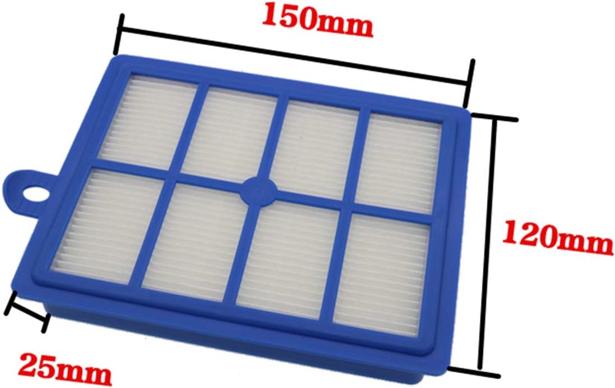 Dailygoods - Filter - Vervangingsfilter - Wasbaar - Stofzuiger Onderdelen - Geschikt voor Electrolux - 2 Stuks