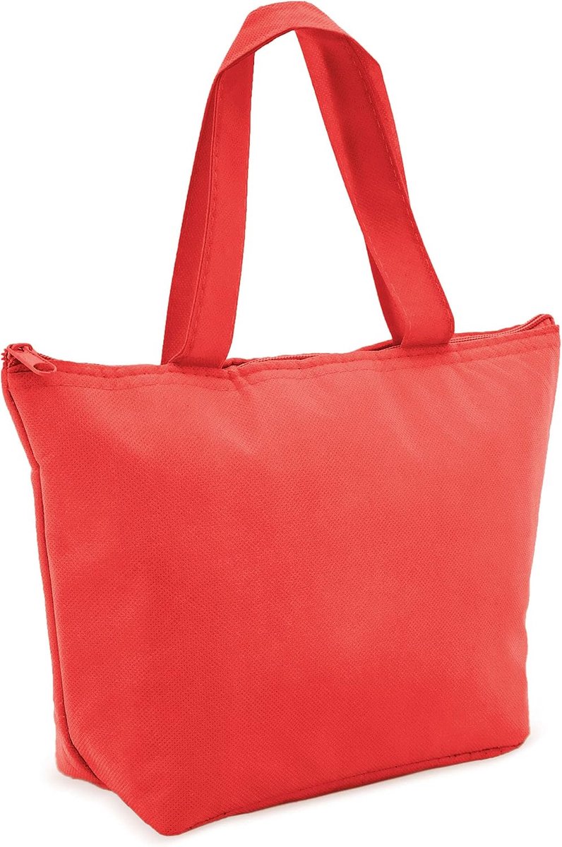 Koeltas | Mini Opvouwbare Thermische Lunchtas met Rits en Handvat | Houdt Drankjes, Snacks en Lunch Koel of Warm | School, Kantoor, Strand, Picknick, Medicijnen en Cosmetica (1st, Rood)