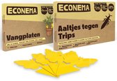 Voordeelpakket - Aaltjes tegen Trips 20m2 + 20 gele vangplaten - bestrijd de larven en de volwassen trips
