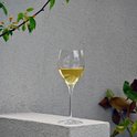 Glas witte wijn op een betonnen rand met planten op de achtergrond.