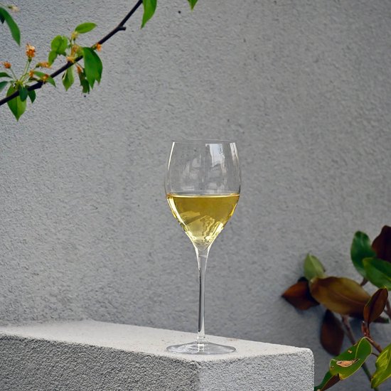 Glas witte wijn op een betonnen rand met planten op de achtergrond.