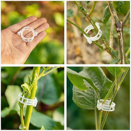 250 Stuks Tuinklemmen voor Tomaten, Planten en Wijnranken - Transparante Plastic Ring en Steunclips voor Planten — afbeelding 4