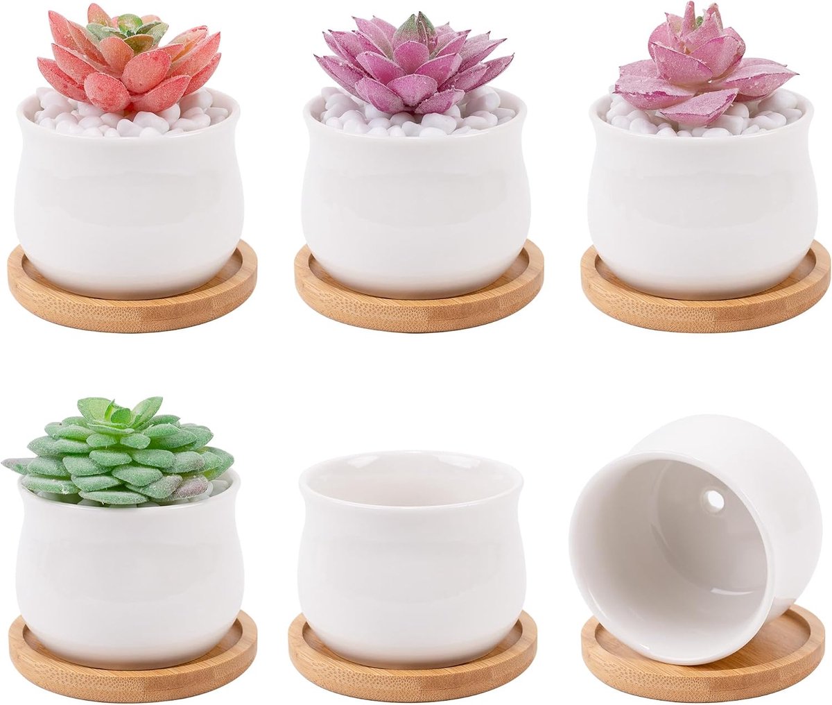6 stuks vetpot cactus containers witte keramische plantenbak met drainagegat en verwijderbare lade kleine plantenpotten voor thuiskantoor decoratie bonsaicontainer voor binnen en buitenplanten