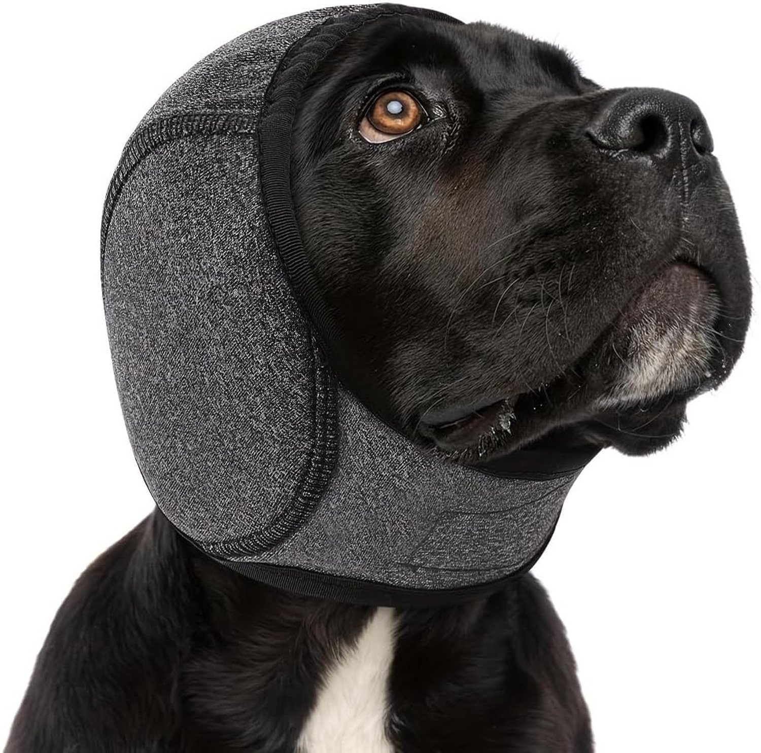 Gehoorbescherming voor honden, maat M (grijs), uitstekende akoestische isolatie, waterdicht, geschikt voor hoofdomtrek tussen 35 en 48 cm