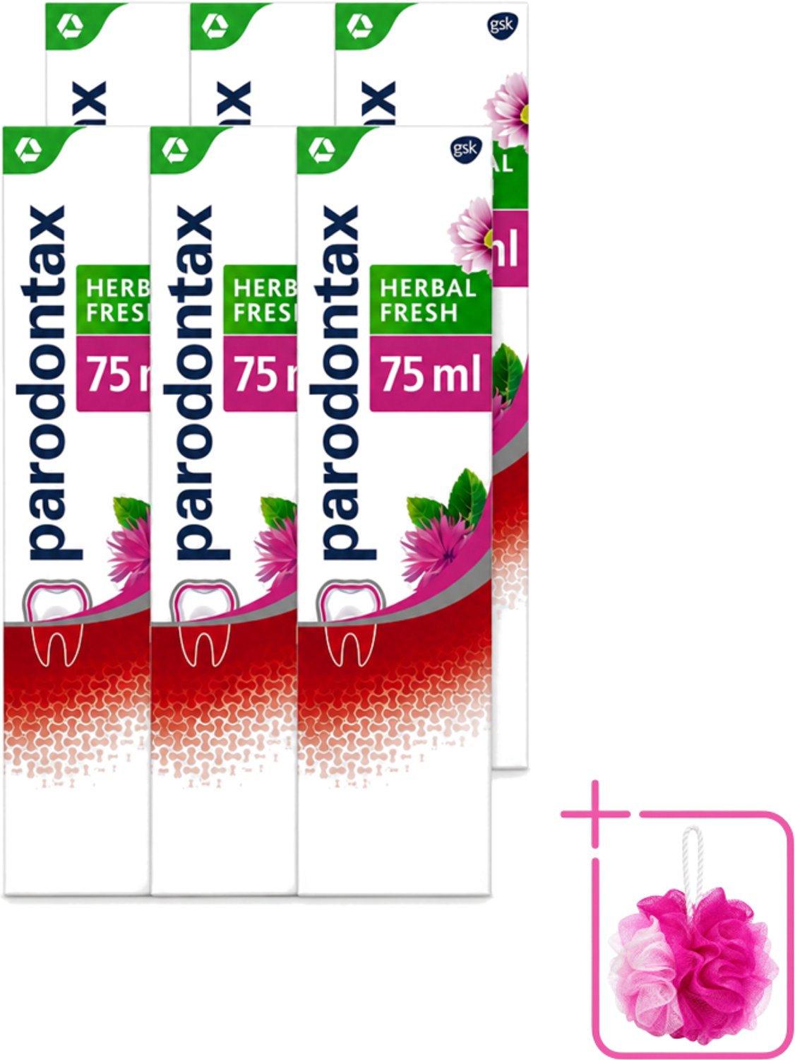 6 x Parodontax - Tandpasta - Herbal Fresh - Bergamot & Mint - 75ml - Bulkverpakking - Tandvleesgezondheid - Douchemop - Tandpasta