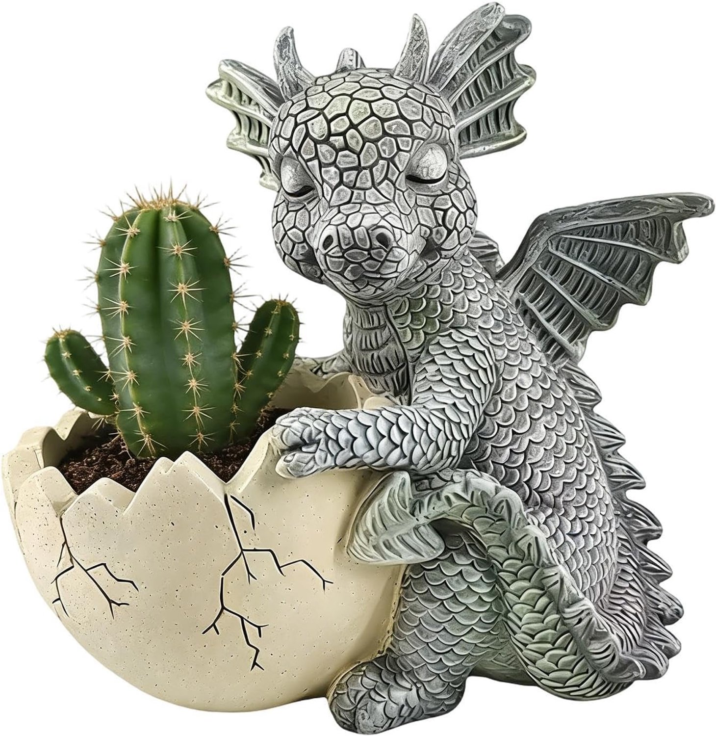 Hars Drakenplantenbak Eierschaal pot