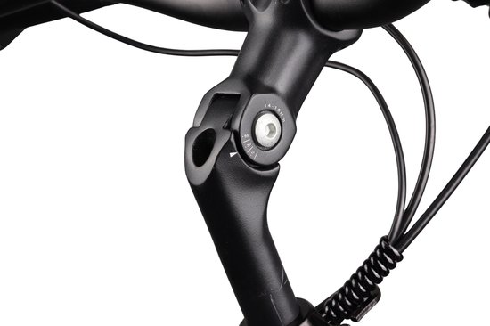 Crown Los Angeles - Elektrische stadsfiets - Elektrische damesfiets - Achterwielmotor - Hydraulische schijfremmen - 28 inch - 52 cm - Mat Zwart — afbeelding 3