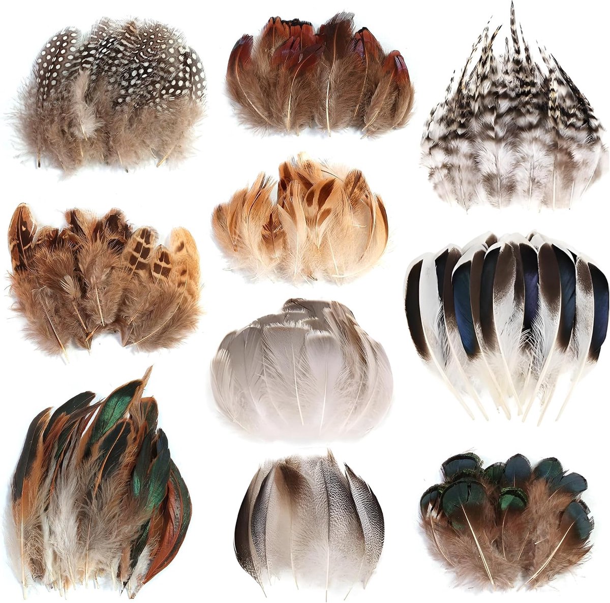 Veren om te knutselen, knutselveren in 10 designs en decoratieve veren voor doe-het-zelf sieraden, kransen, hoeden, bloemistiek, kleurrijke veren om te knutselen, voor creatieve projecten