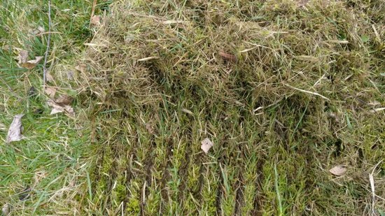 24 stuks verticuteerveren / tanden voor de verticuteerrol / verticuteermachine Spear & Jackson Lawn Raker 1400 W — afbeelding 3
