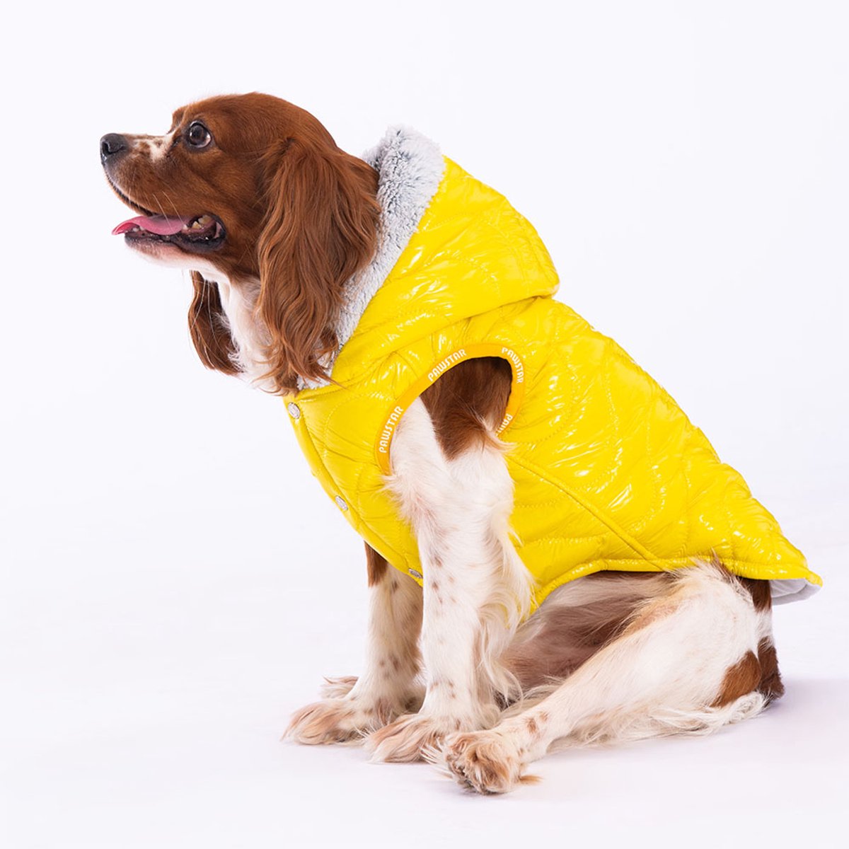 Pawstar Light Wave - Hondenbodywarmer - Geel - XL