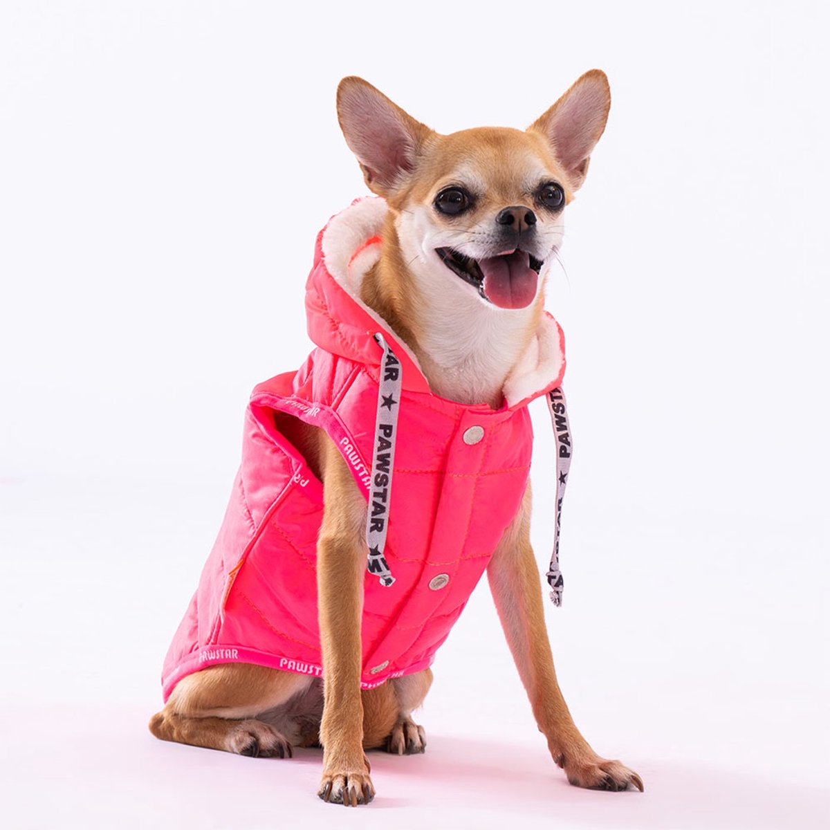 Pawstar Railway - Hondenbodywarmer - Neonroze - XXL