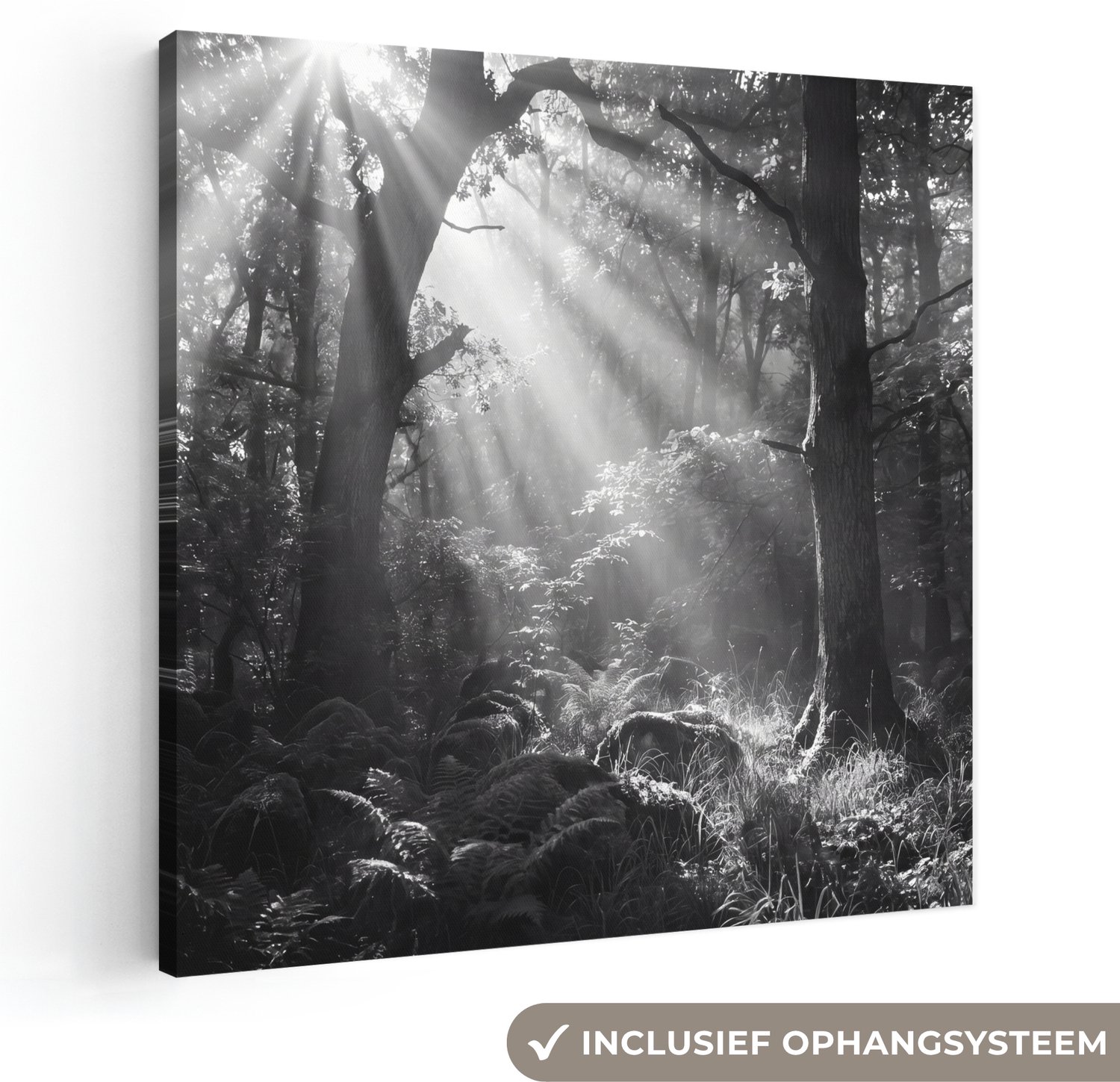 Canvas schilderij 50x50 cm - Exclusieve wanddecoratie Bos - Lichtstralen - Natuur - Zwart-wit - Muurdecoratie woonkamer - Slaapkamer decoratie - Kamer accessoires - Schilderijen op canvas