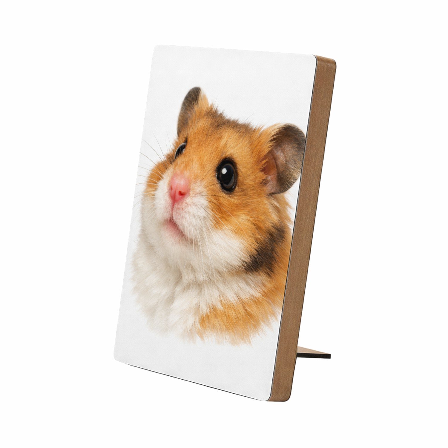 Mr Cadeautjes Glasframe/MDF 12,7 x 17,8 - design Monumentaal huisdierportret met warme close-up en diepe donk | cadeau Wit