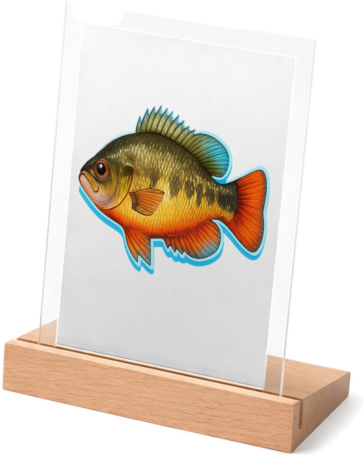 Mr Cadeautjes Glasframe met vaste tekst - design Een realistische papegaai zijaanzicht met tropische kleuracc | cadeau Wit
