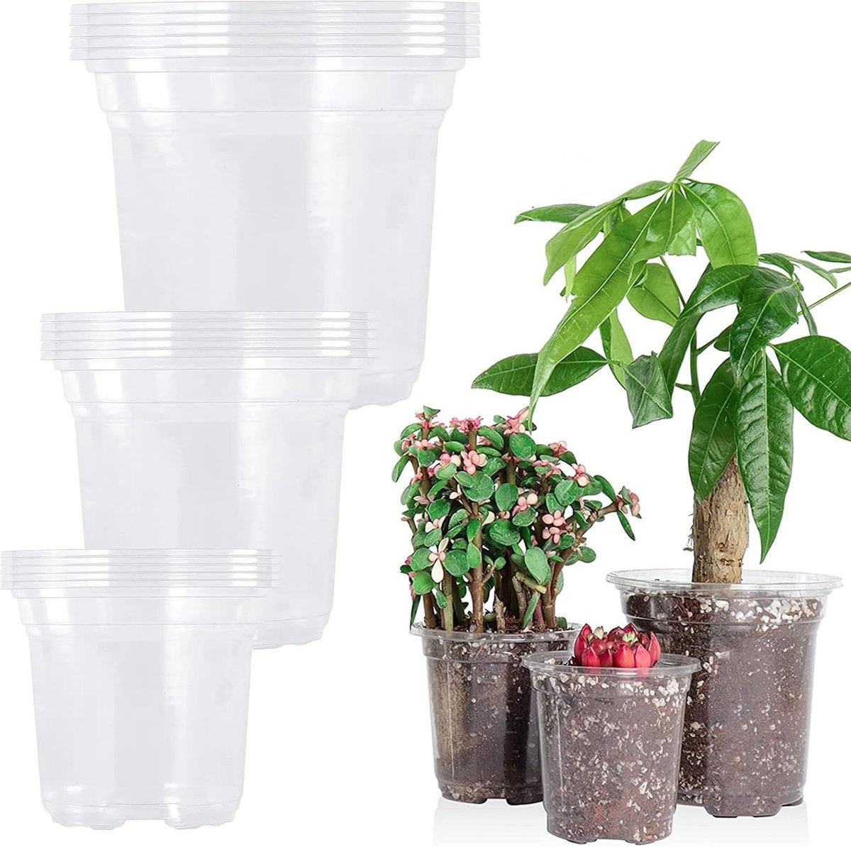 Set van 15 Transparante Zaai Potten met Afvoergaten, Geschikt voor Vetplanten en Verplanten (9/10/13 cm)