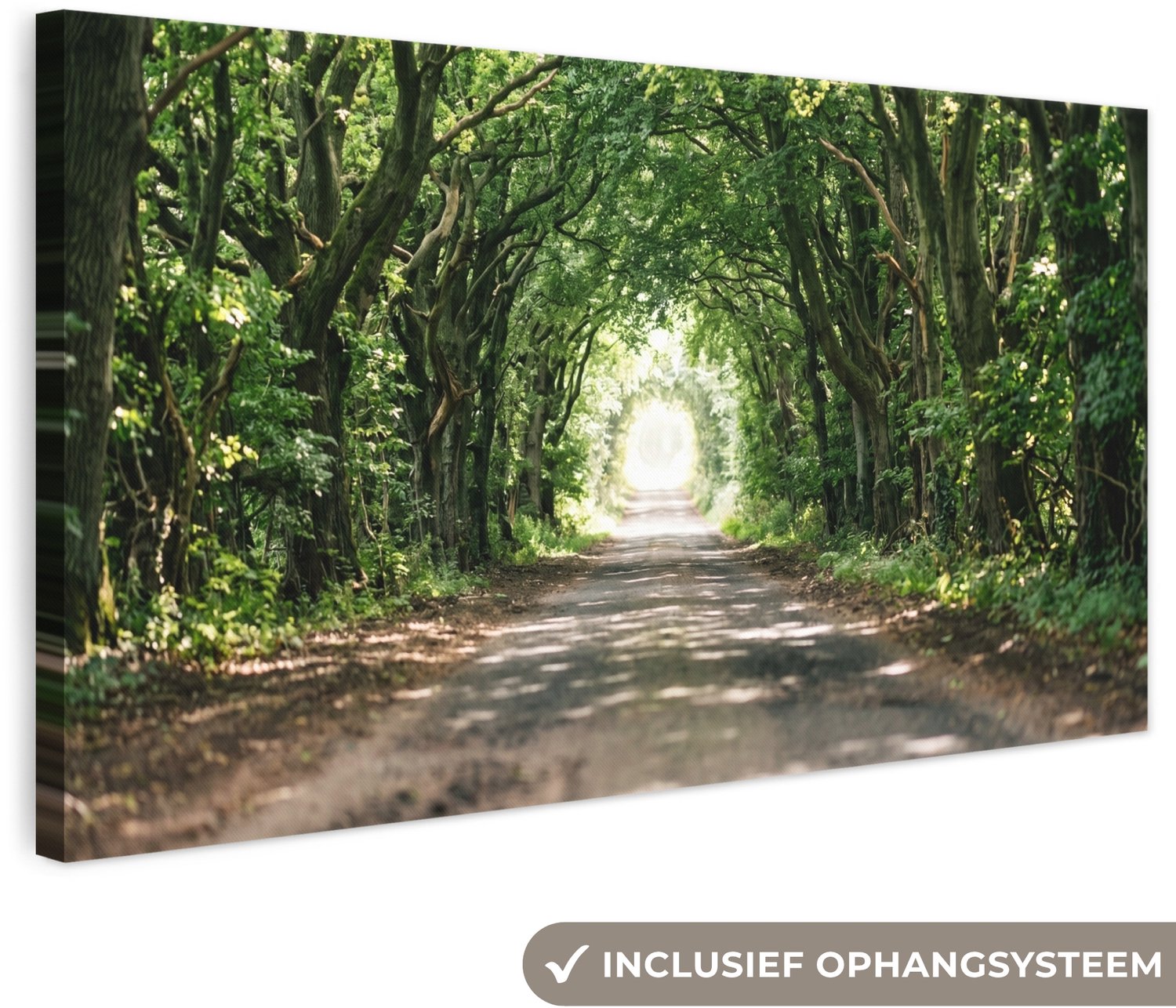 Canvas schilderij 160x80 cm - Exclusieve wanddecoratie Weg - Bomen - Natuur - Groen - Muurdecoratie woonkamer - Slaapkamer decoratie - Kamer accessoires - Schilderijen op canvas groot XXL