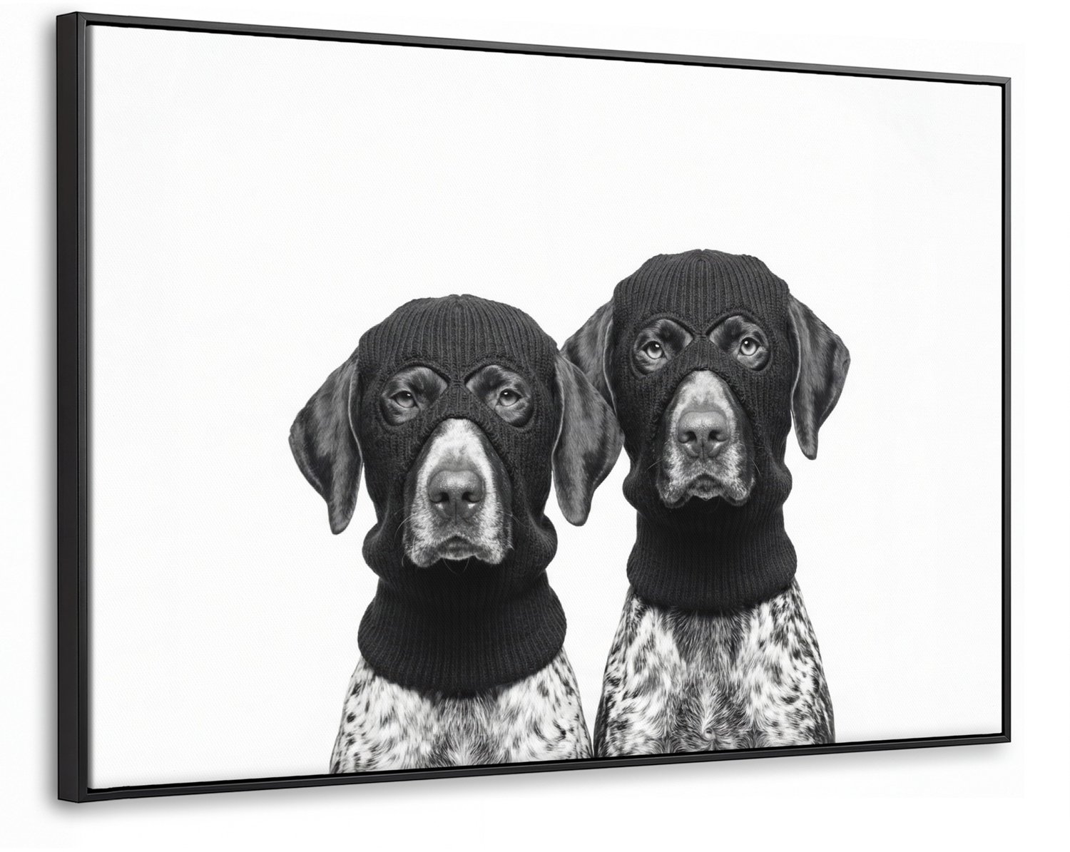 Canvas Schilderij met Baklijst XXL Canvas Schilderij met Baklijst 140x90cm - Honden - Bivakmuts - Zwart - wit - Muurdecoratie woonkamer - Slaapkamer decoratie - Kamer accessoires - Schilderijen op canvas met lijst groot